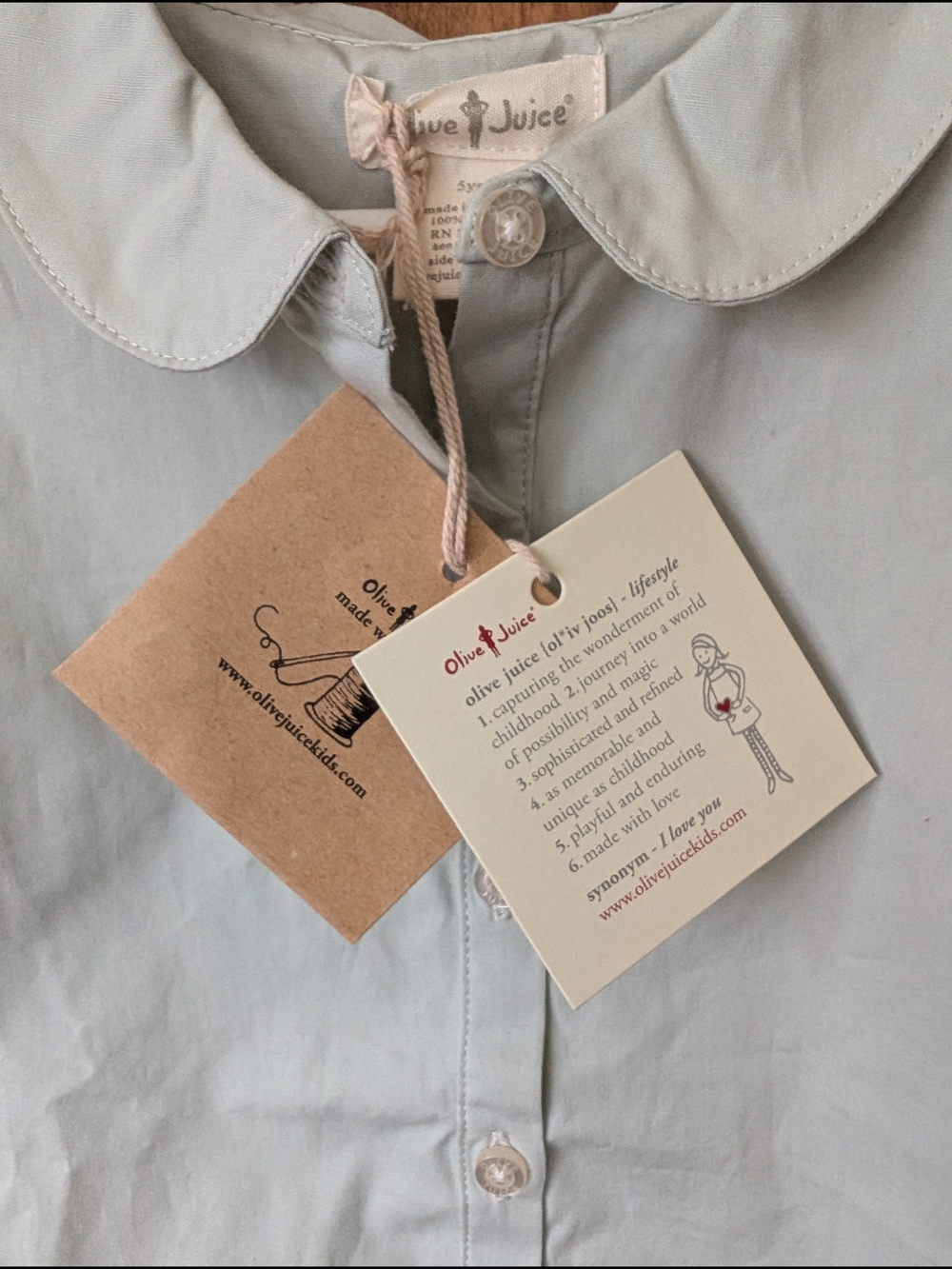 Boutique Button-Down Shirt with Peter Pan Collar - Light Sage - Picture 3 of 7